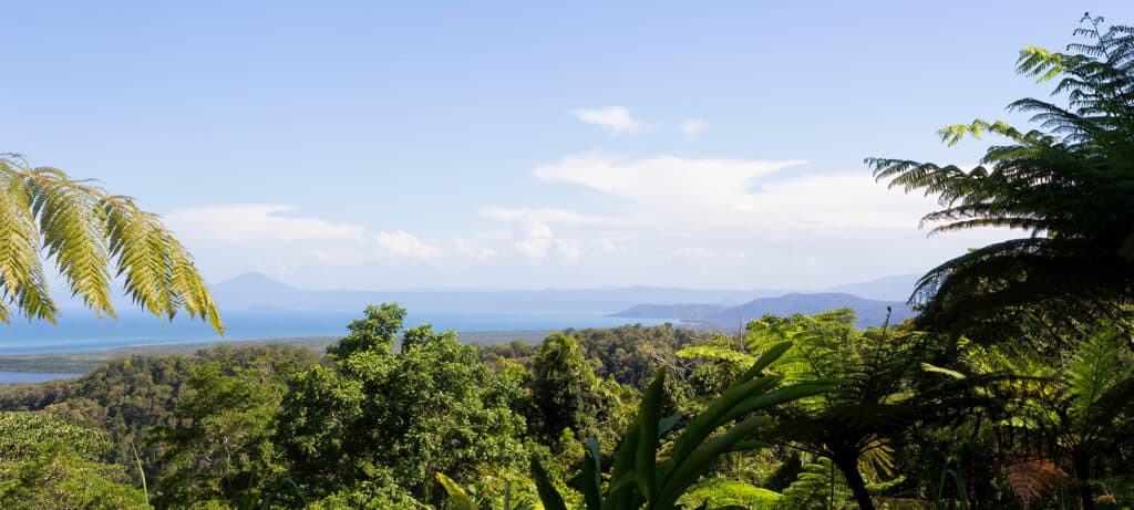 View of nature from a walking track