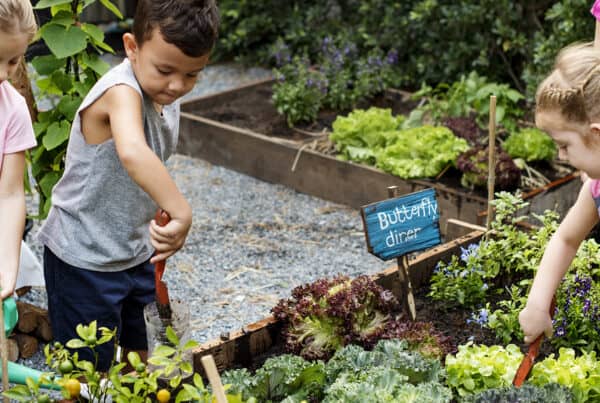 Learning through hands-on activity is a sure-fire way of engaging children and young people, and is one of the winning attributes of the Stephanie Alexander Kitchen Garden Program.