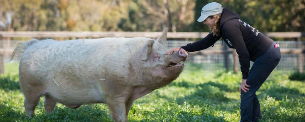 The Benefits of Being Kind to Animals