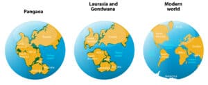 Continental drift