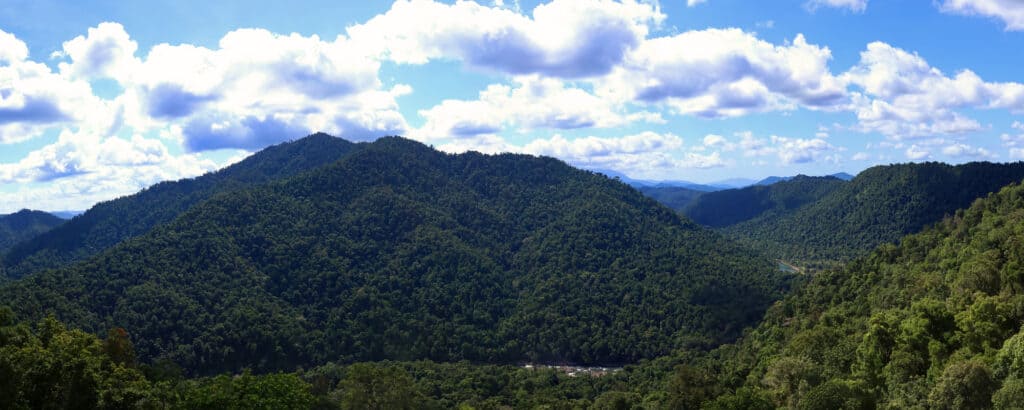 Wooroonooran,National,Park,And,Johnstone,River,,Wet,Tropics,World,Heritage