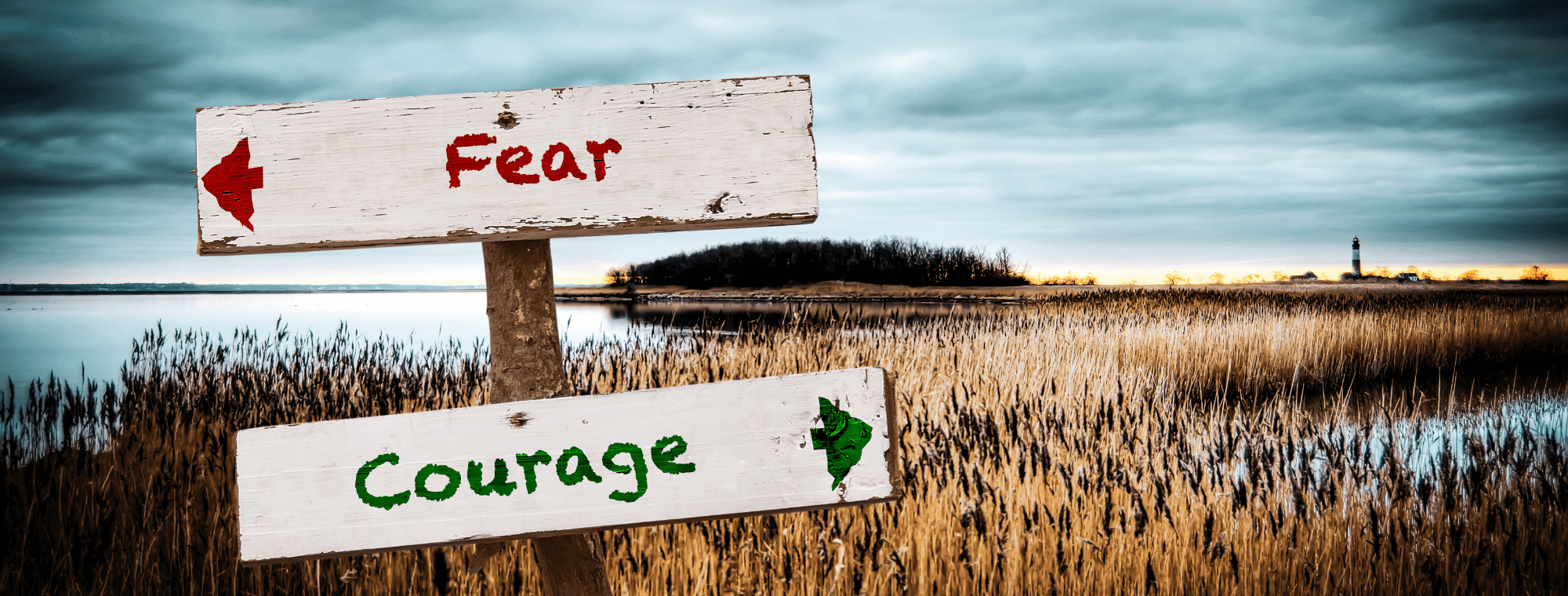 The Thing Is – Use Fear As Your Motivator – with Bree James